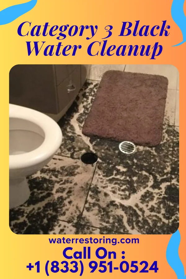 Category 3 Black Water Cleanup in Muldraugh, KY