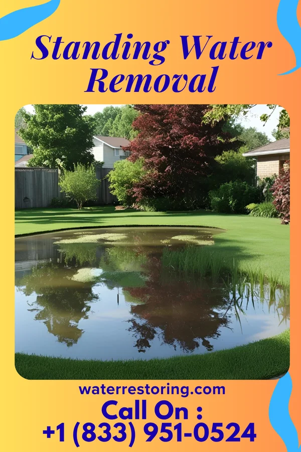 Standing Water Removal in Muldraugh, KY